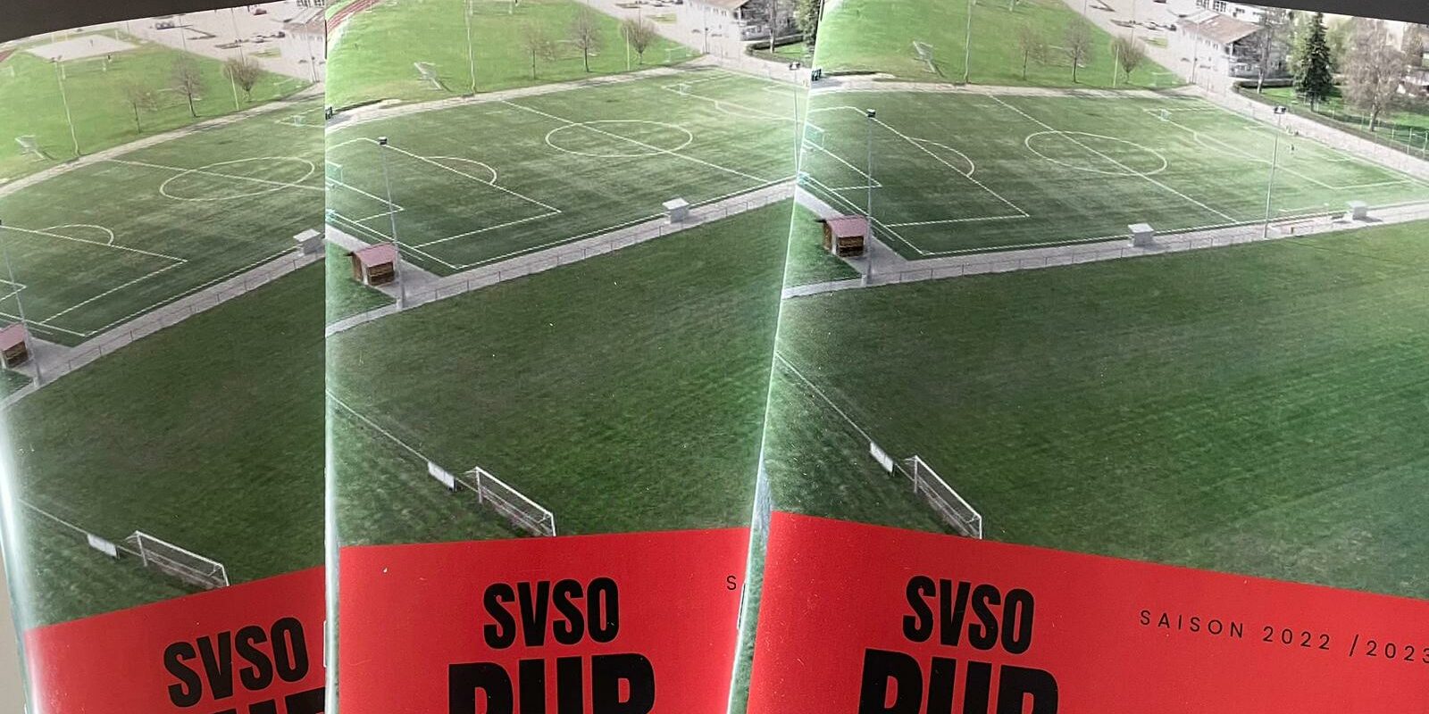 SVSO Pur